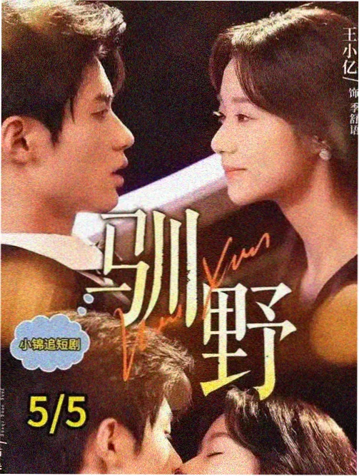 硅谷码农海报